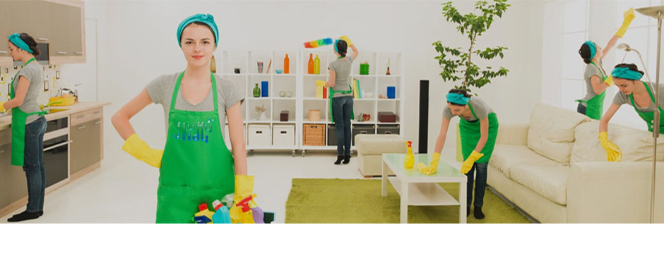 Gelibolu Boğaziçi Temizlik Firması